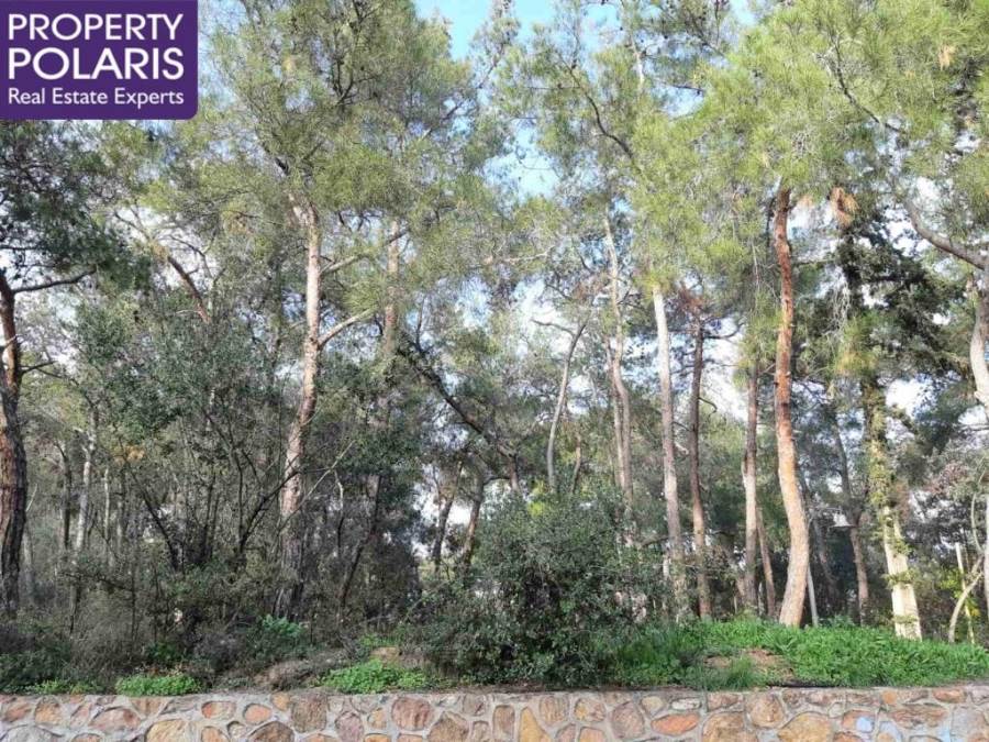(Προς Ενοικίαση) Κατοικία Διαμέρισμα || Αθήνα Βόρεια/Φιλοθέη - 142 τ.μ, 3 Υ/Δ, 1.550€ 