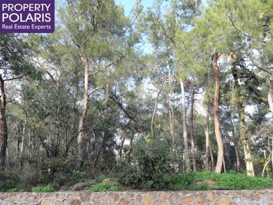 (For Sale) Residential Apartment || Athens North/Filothei - 142 Sq.m, 3 Bedrooms, 750.000€ 